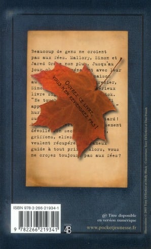 Les chroniques de Spiderwick. Vol. 1. Le livre magique