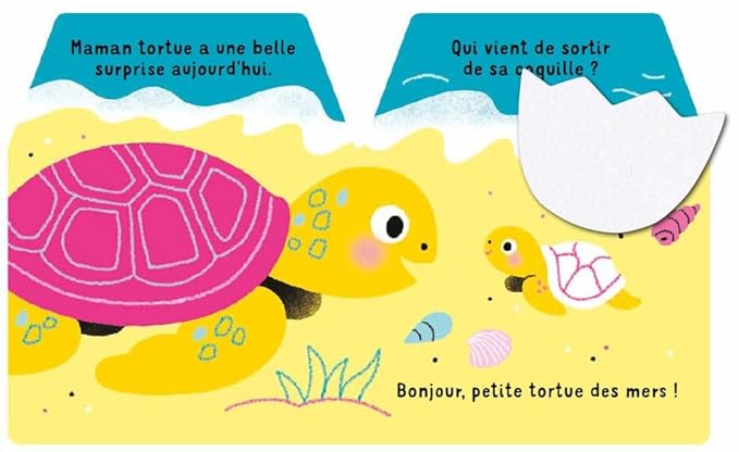 Petite tortue des mers