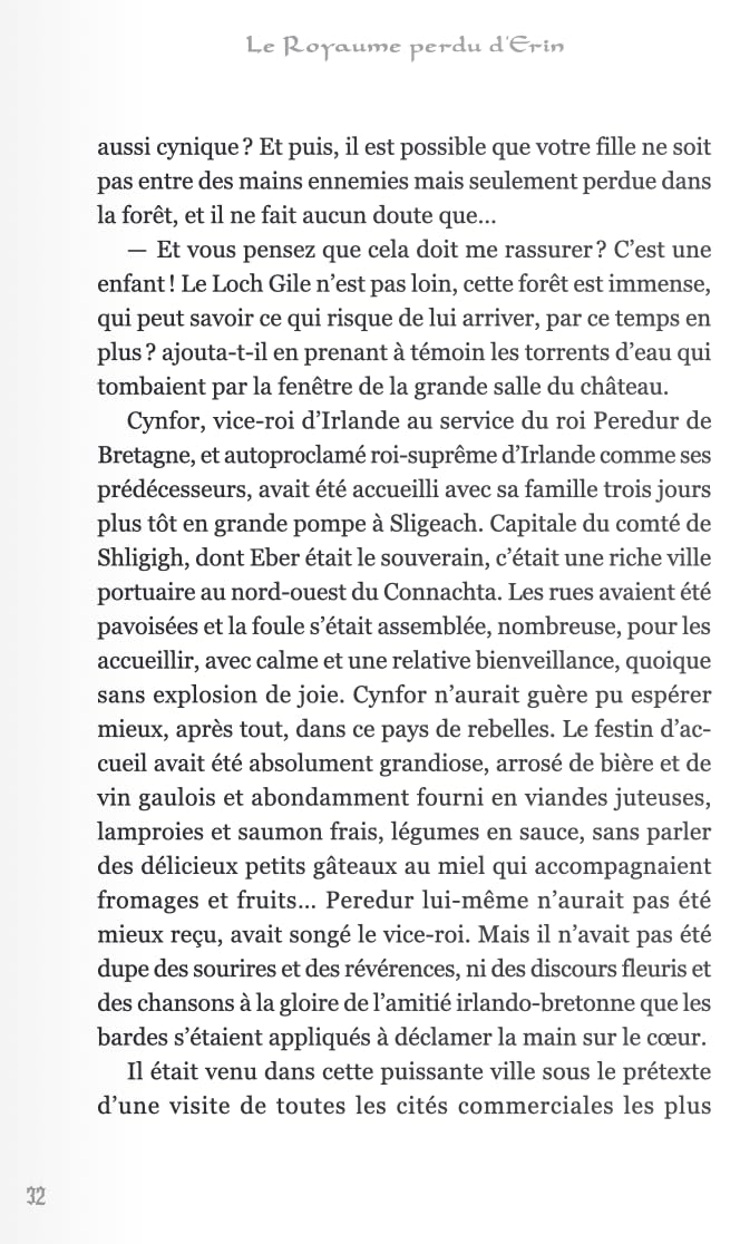 Le royaume perdu d'Erin. Vol. 1. Le mercenaire