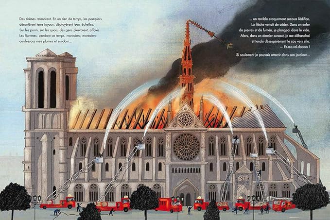 Le coq de Notre Dame