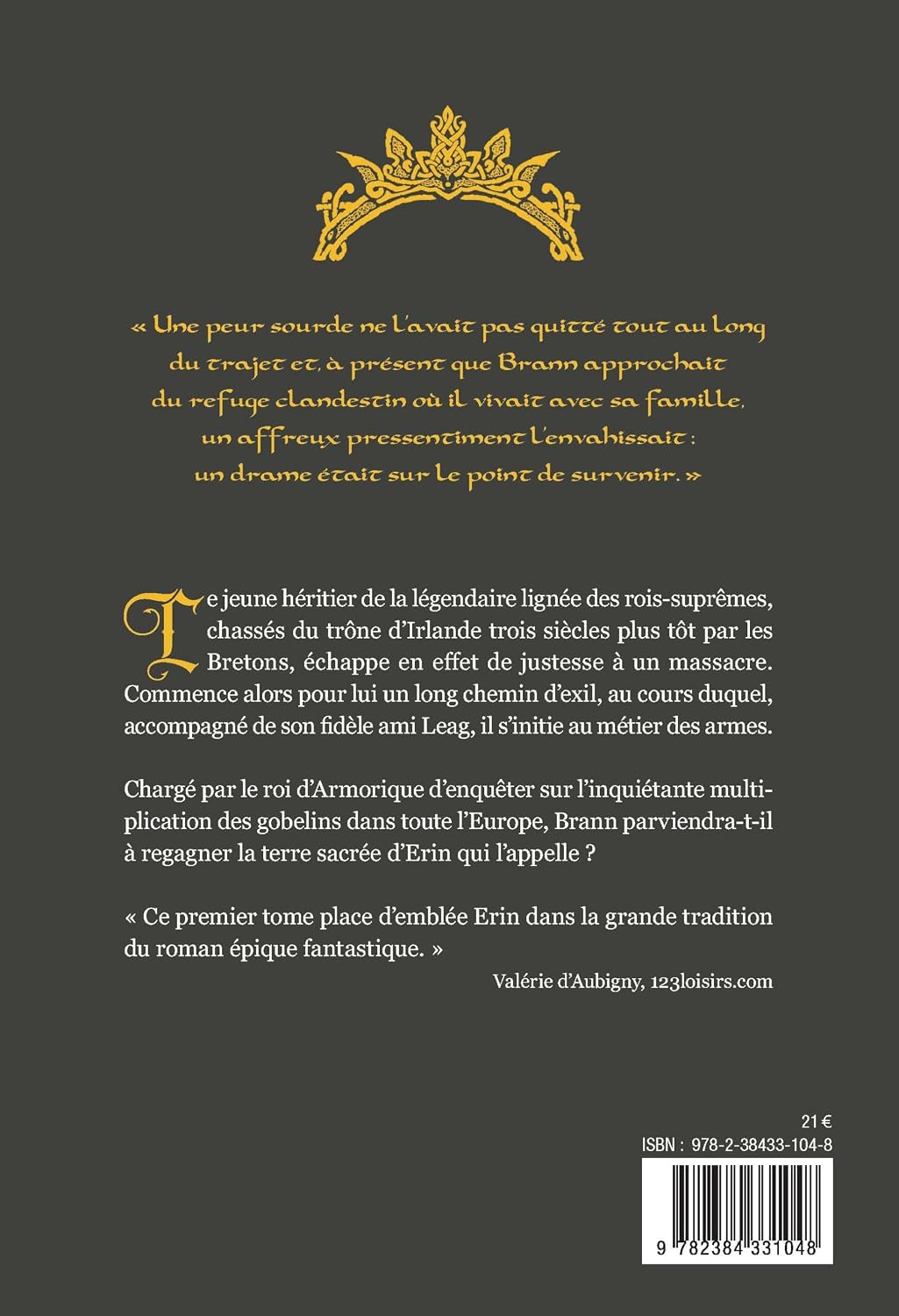 Le royaume perdu d'Erin. Vol. 1. Le mercenaire