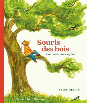 Souris des bois