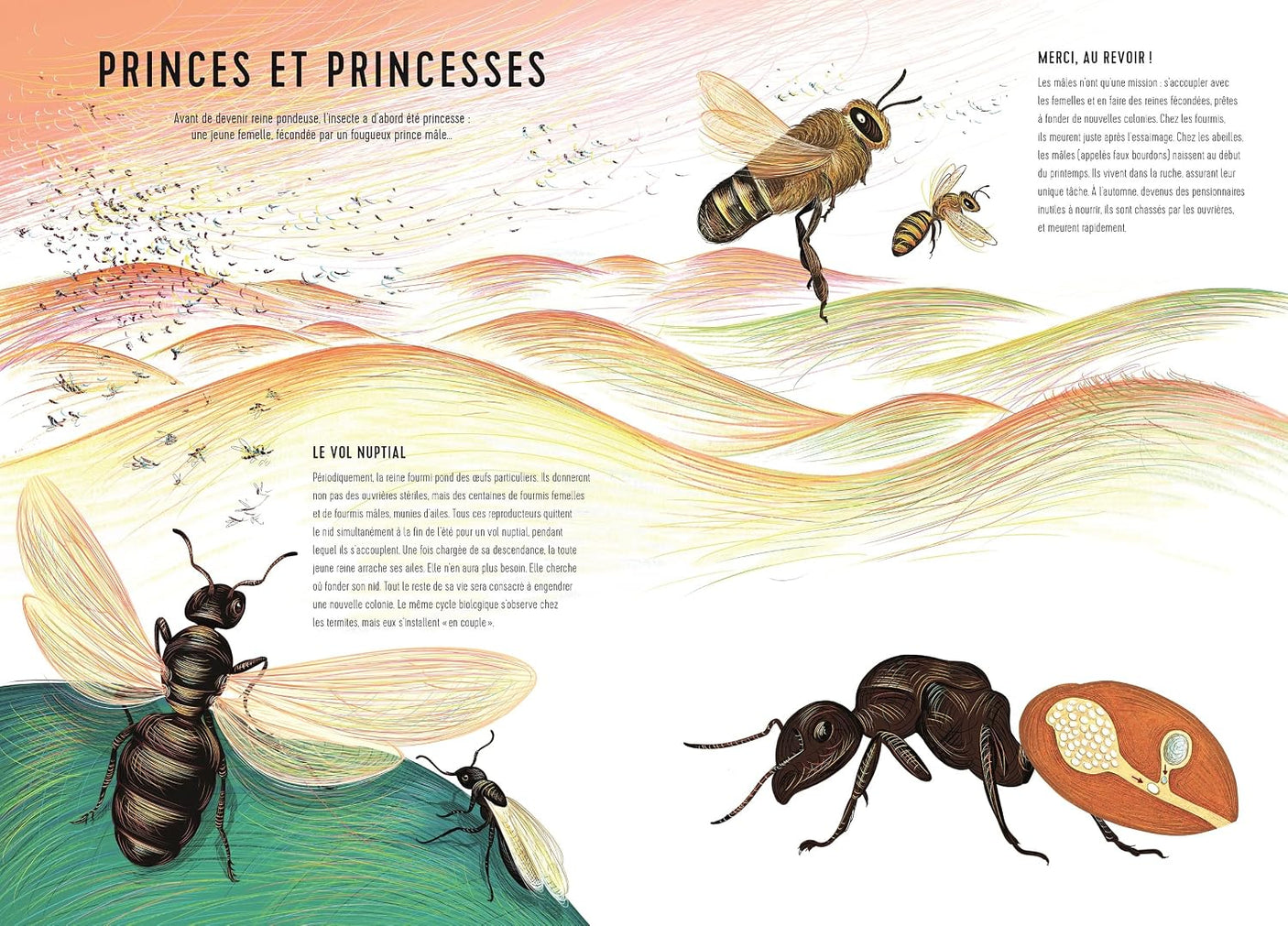 Royaumes minuscules