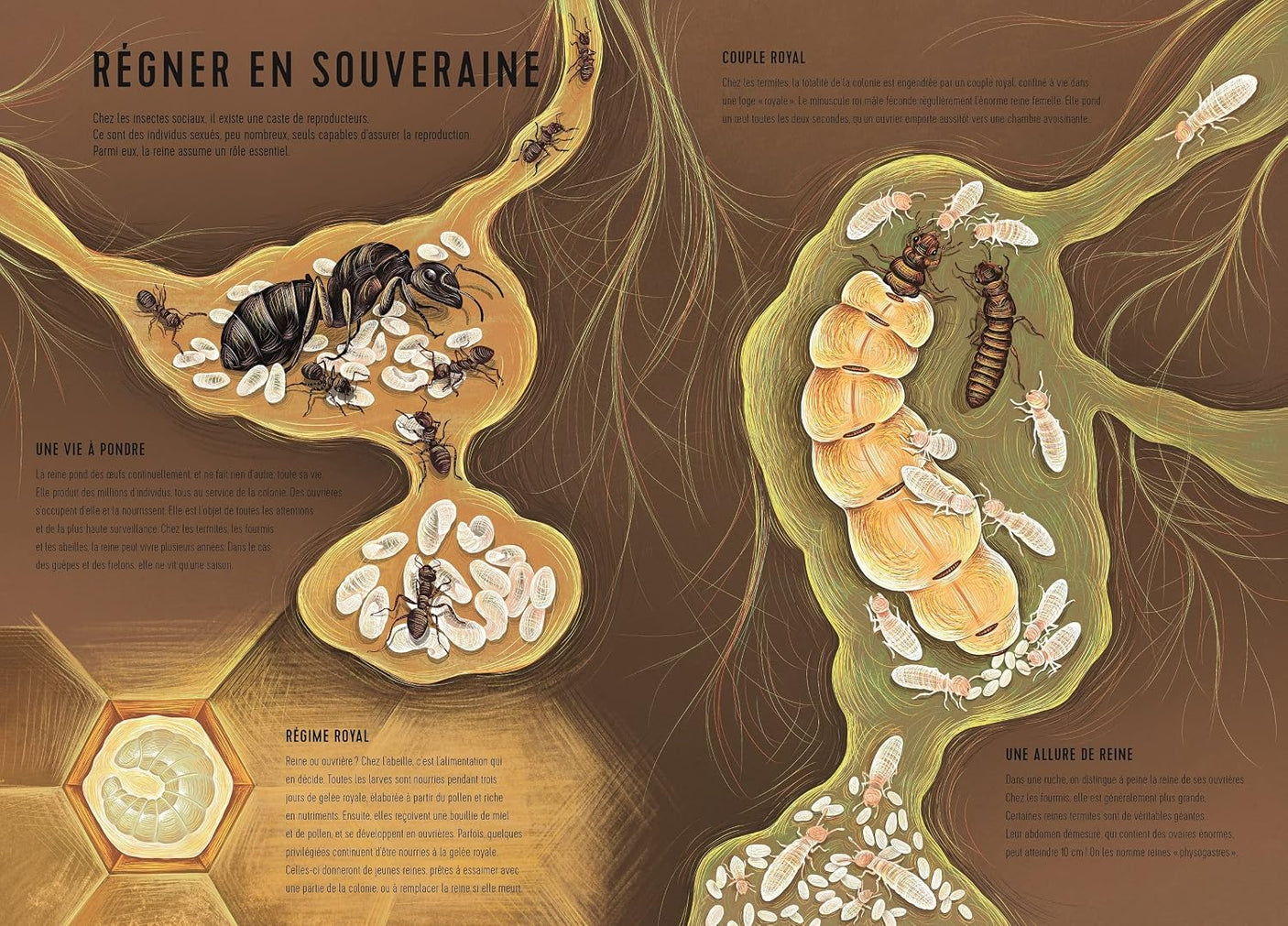 Royaumes minuscules