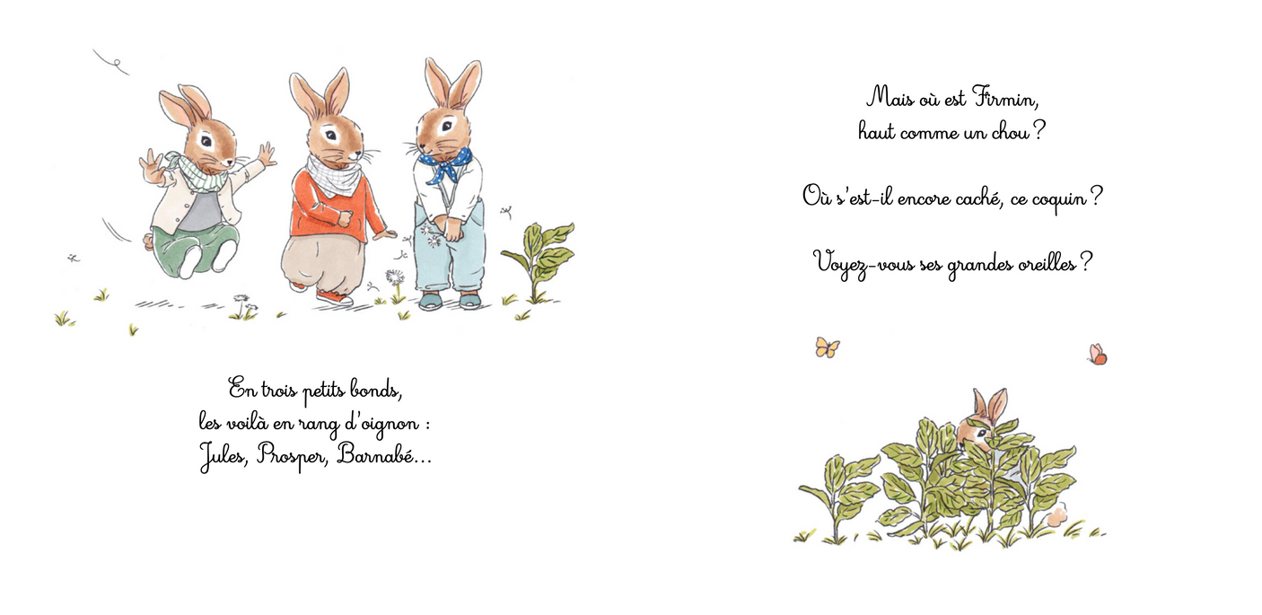La famille lapin. La famille s'agrandit