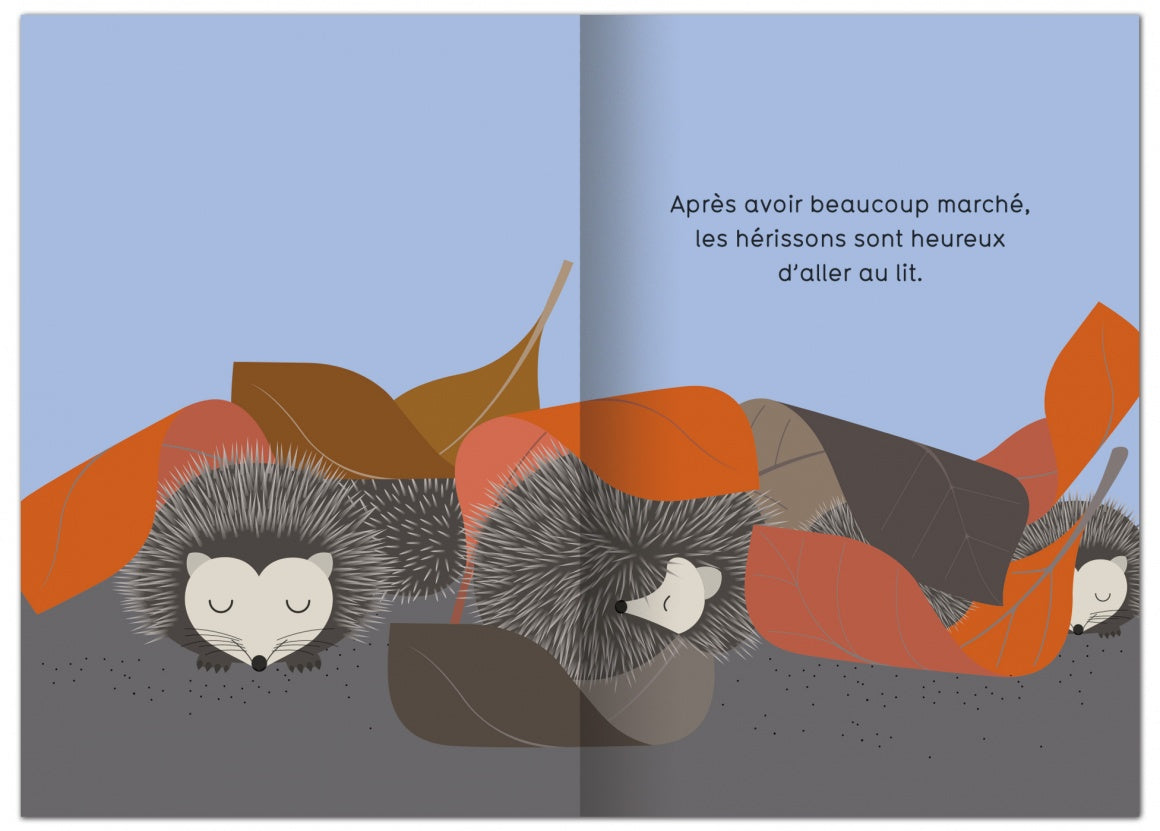 Et le matin quand le jour se lève...