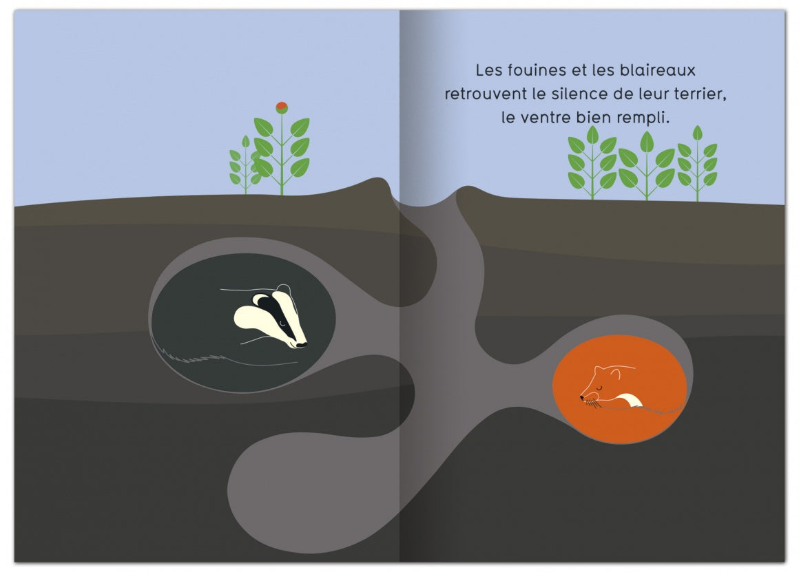 Et le matin quand le jour se lève...