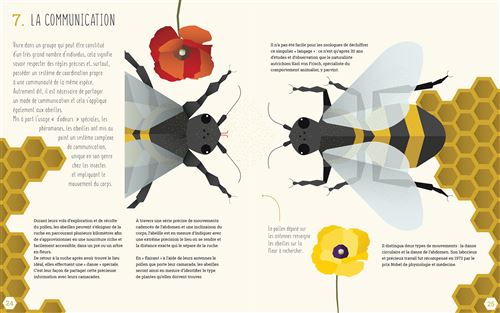 Le monde des abeilles