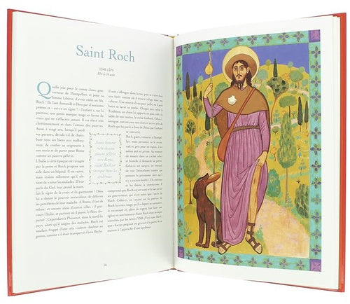 Les Belles Histoires des saints de France