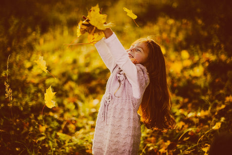 La beauté de la nature en automne: une invitation à s’émerveiller