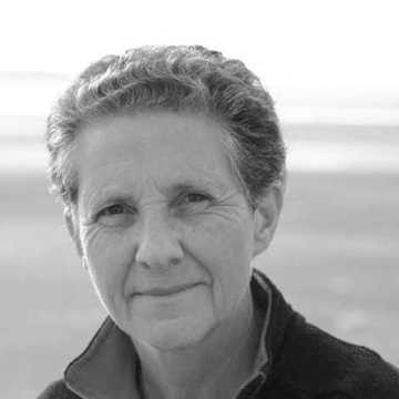 Auteur - Evelyne Brisou-Pellen