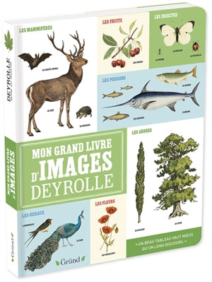 Mon Grand livre d’images Deyrolle