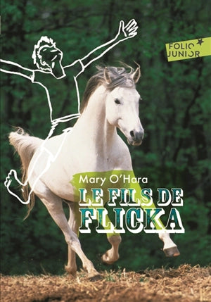 Le fils de Flicka