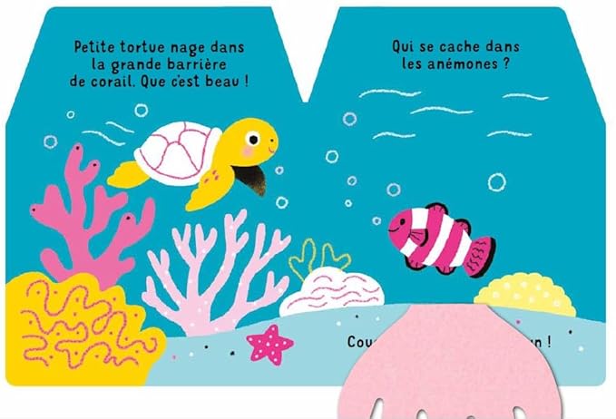 Petite tortue des mers