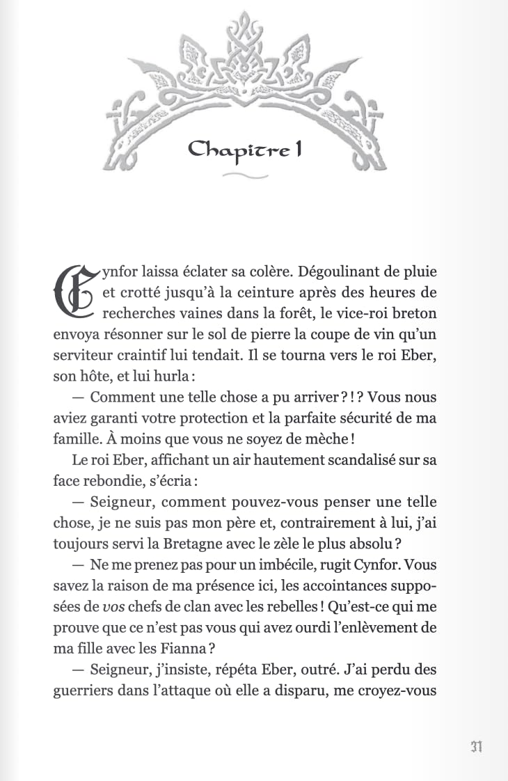 Le royaume perdu d'Erin. Vol. 1. Le mercenaire