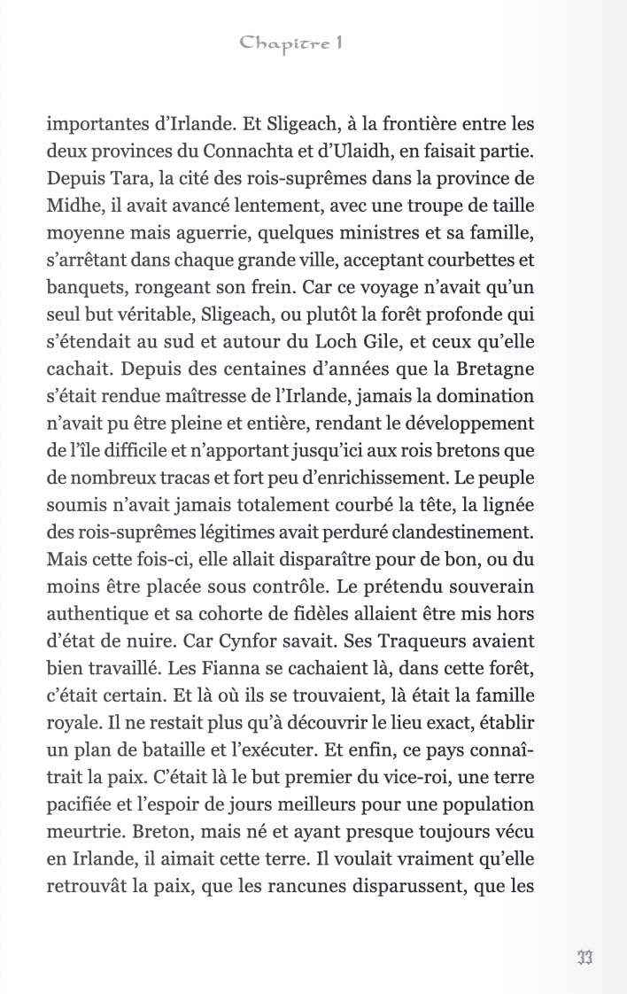 Le royaume perdu d'Erin. Vol. 1. Le mercenaire