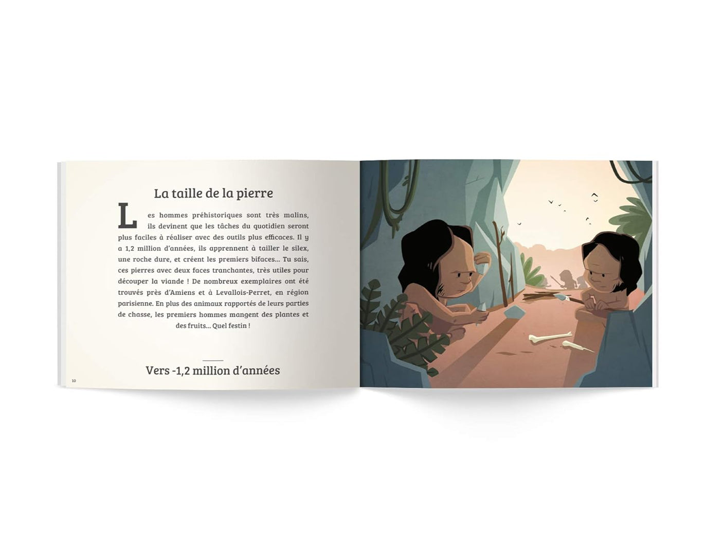 Histoire de France : de la Préhistoire à nos jours