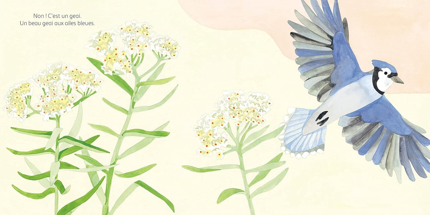 Un oiseau, une fleur