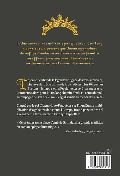 Le royaume perdu d'Erin. Vol. 1. Le mercenaire