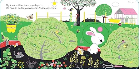 Promenade au potager