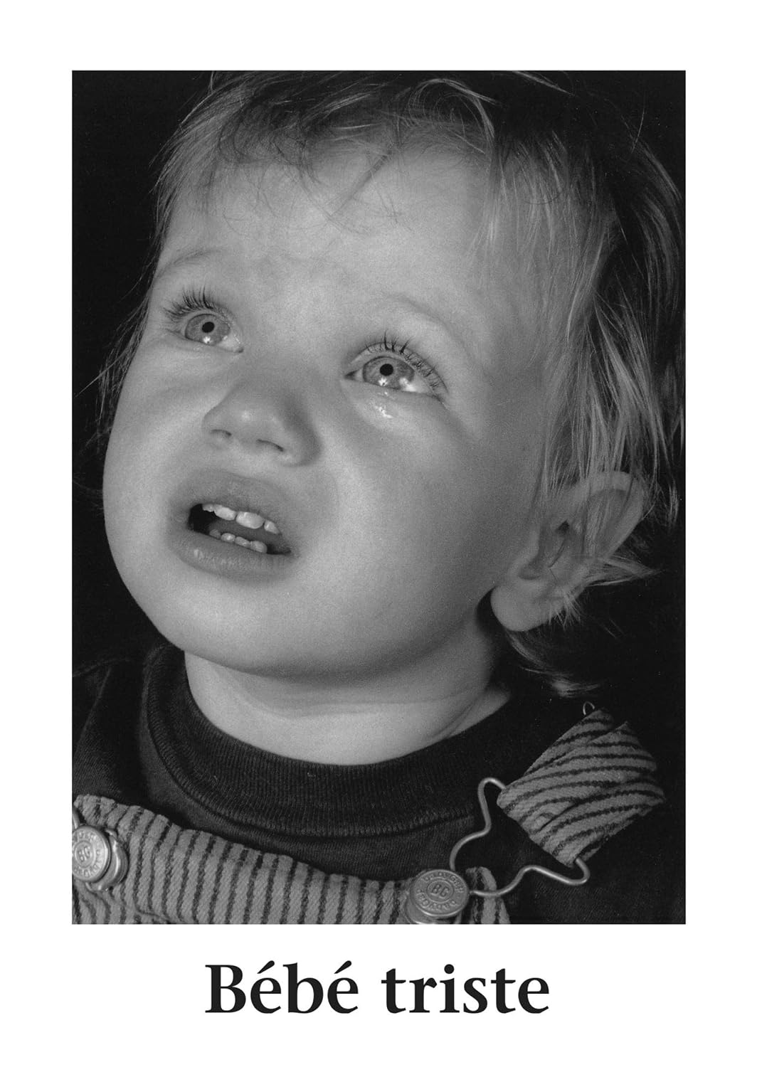 Beaucoup de beaux bébés