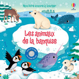 Les animaux de la banquise