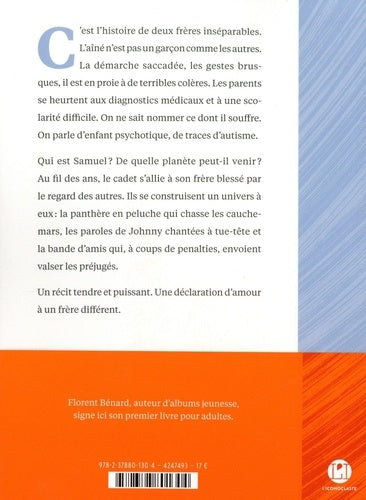 Mon frère est un extraterrestre