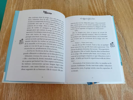 Belle et Sébastien - Tome 1 - Le refuge du Grand Baou