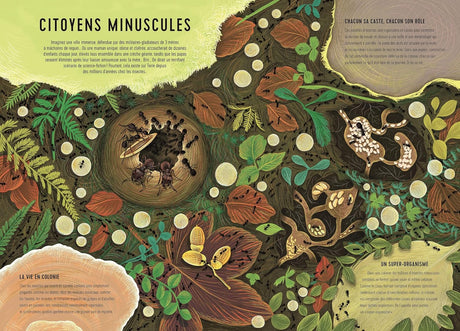 Royaumes minuscules