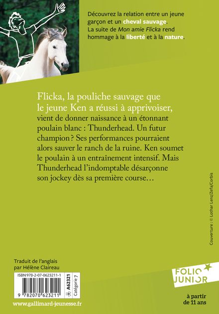 Le fils de Flicka