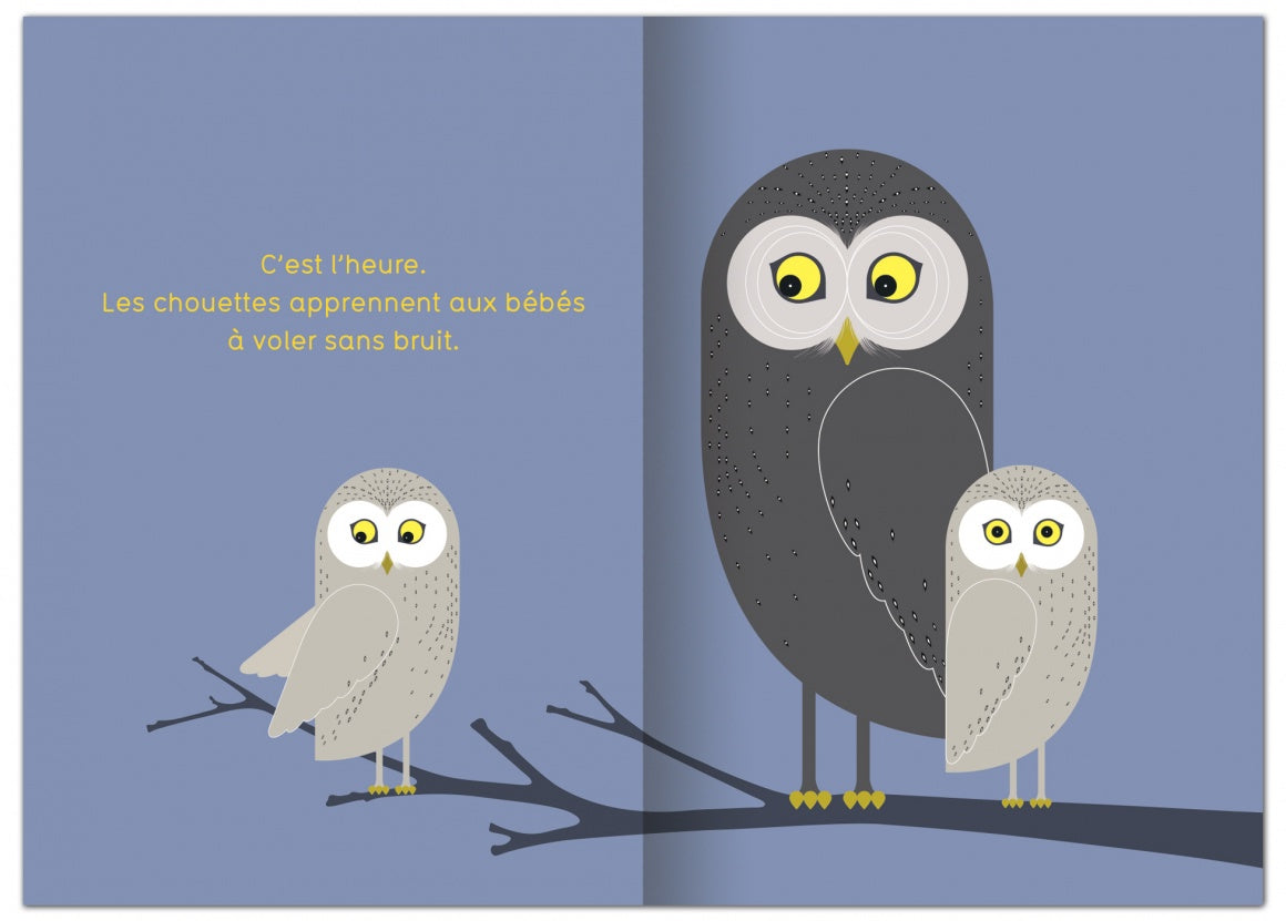 Et le soir quand la nuit tombe...