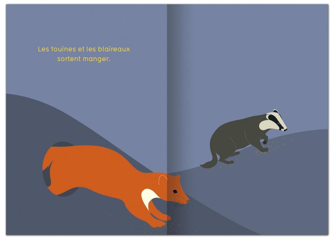 Et le soir quand la nuit tombe...