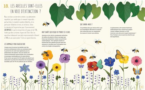 Le monde des abeilles