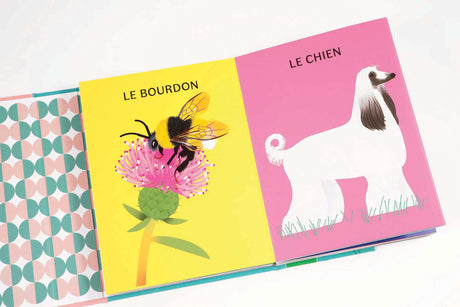 Les animaux à plumes, les animaux à poils