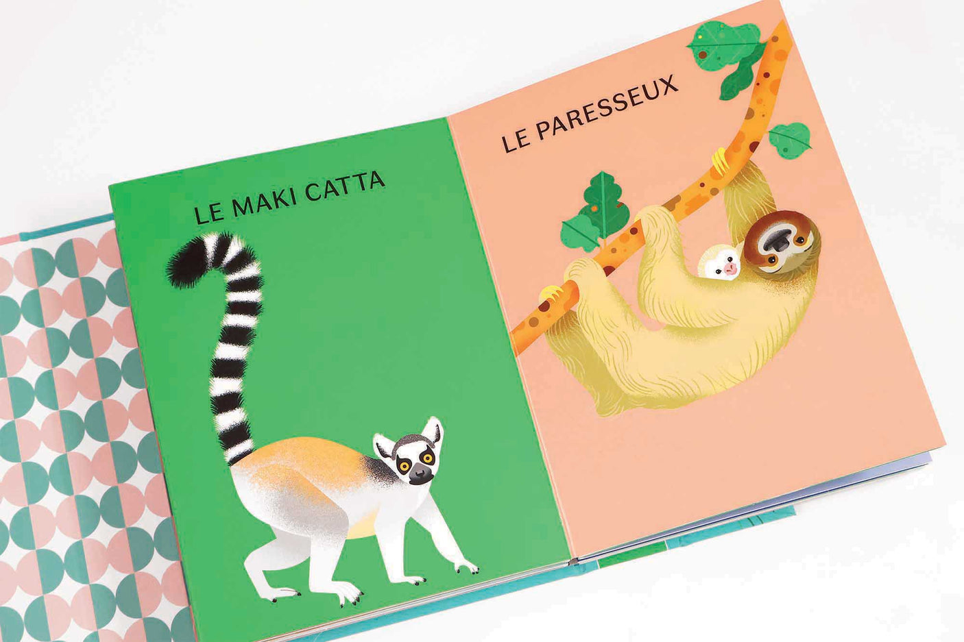 Les animaux à plumes, les animaux à poils
