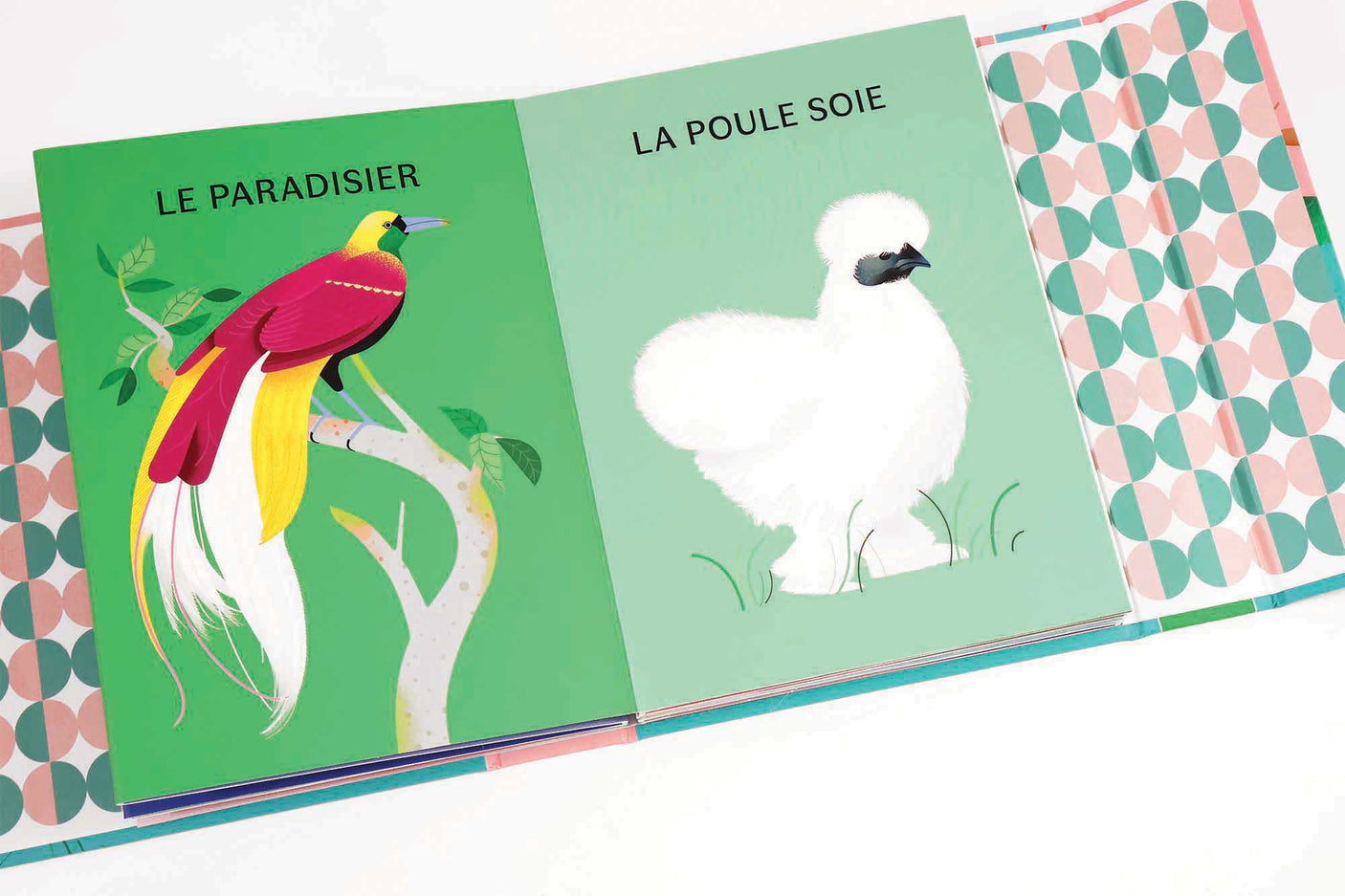 Les animaux à plumes, les animaux à poils