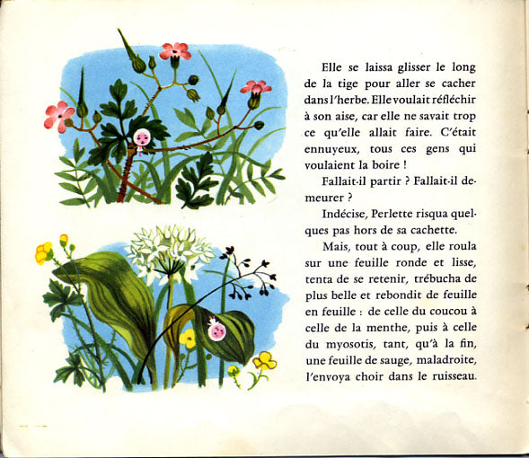 Perlette goutte d'eau