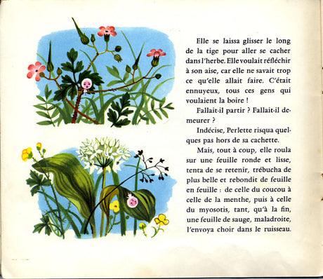Perlette goutte d'eau