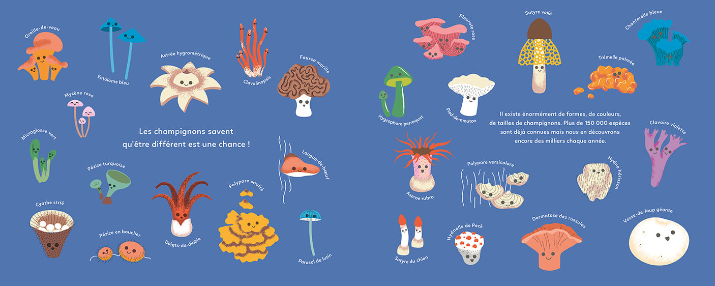 Les secrets des champignons